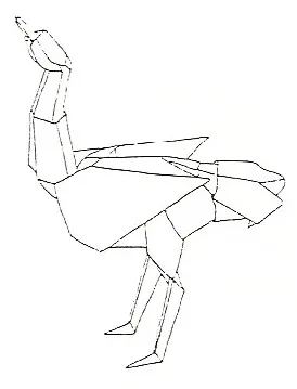 Ostrich