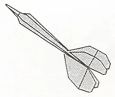 Dart