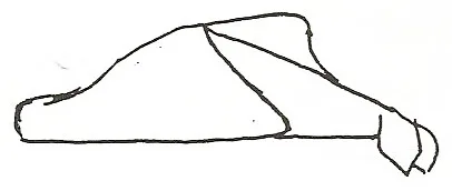 Dolphin - bottlenose