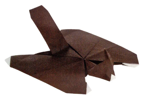 Flying squirrel