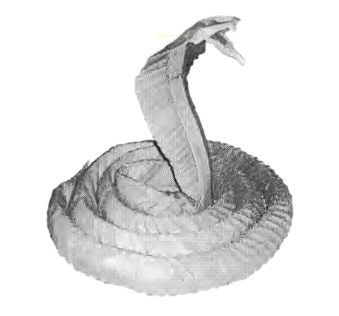 King Cobra