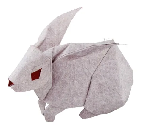 Rabbit