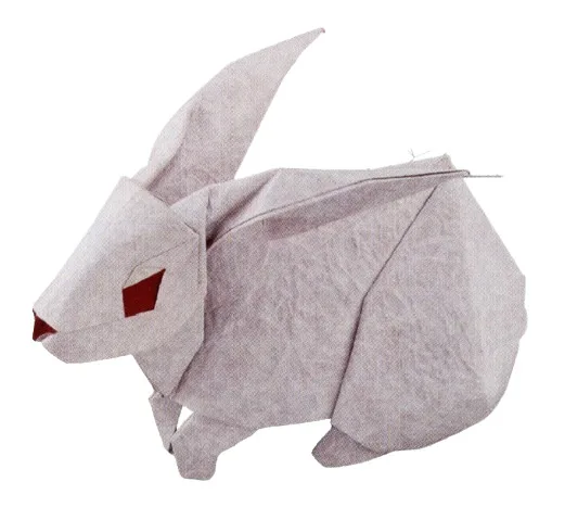 Rabbit