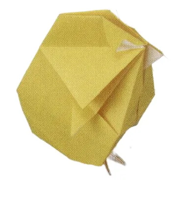 Chick