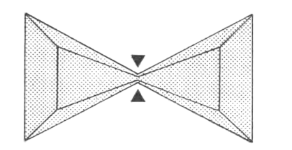 Bow-tie - business card