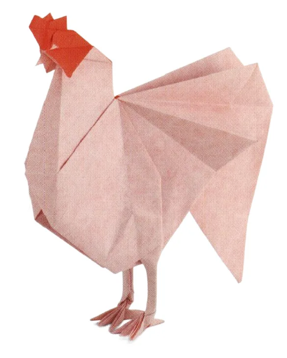 Rooster