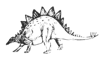 Stegosaurus - 1 fold