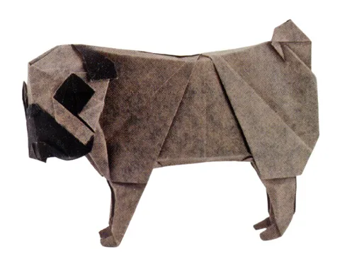 Pug
