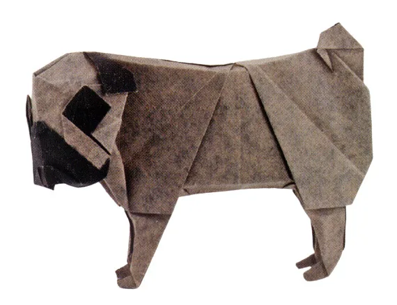 Pug