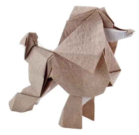 Poodle