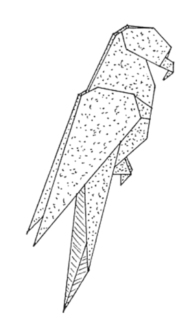 Parrot