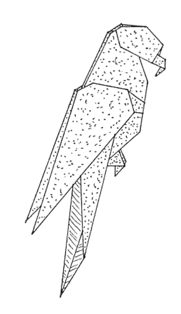 Parrot