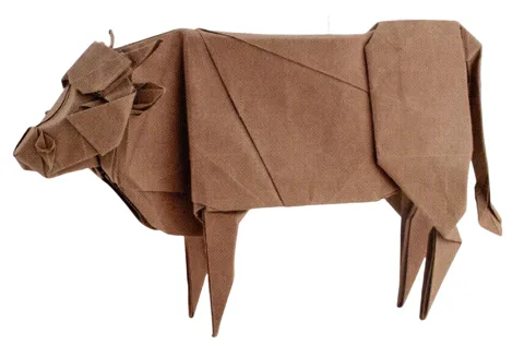 Cattle