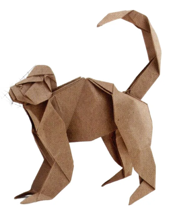 Monkey