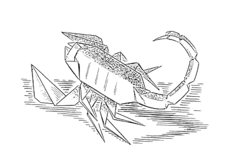 Scorpion