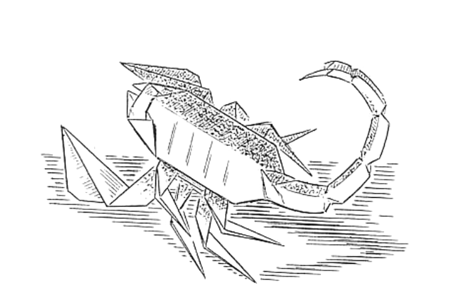 Scorpion