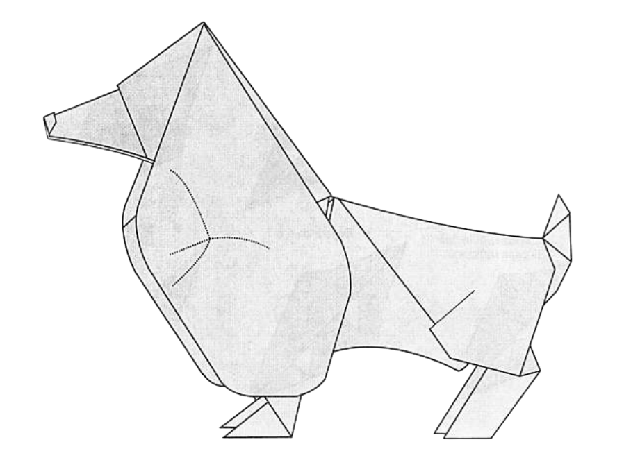 Basset