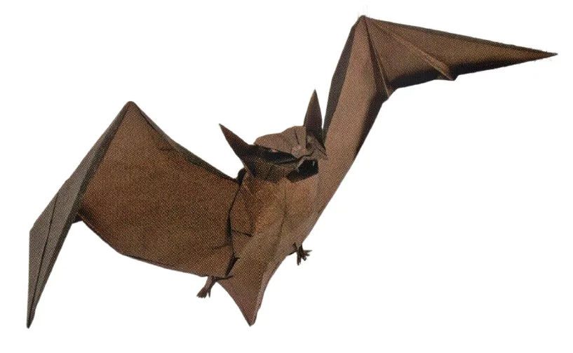 Bat