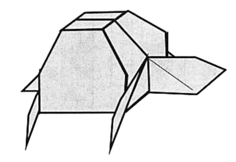 Turtle box