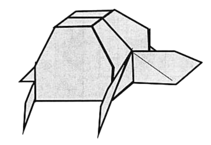 Turtle box