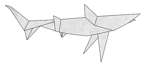 Shark