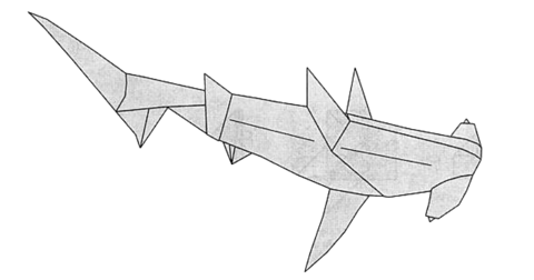 Hammerhead shark
