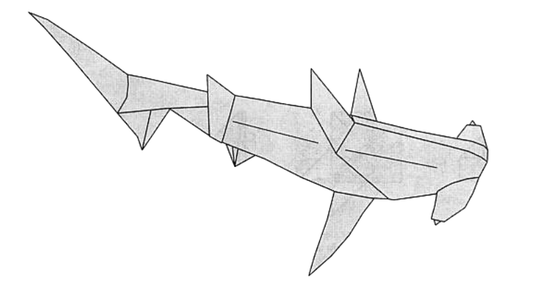 Hammerhead shark
