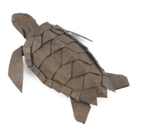 Loggerhead sea turtle
