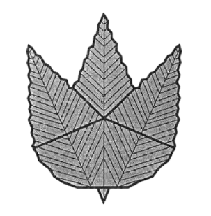 Leaf