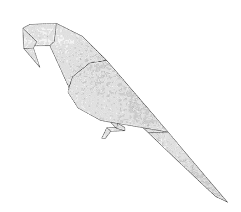 Parakeet