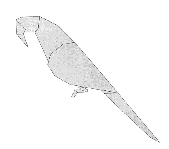 Parakeet