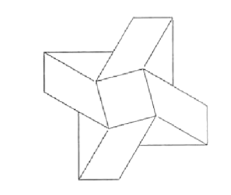 Star or flower