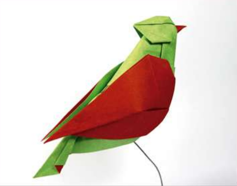 Song bird