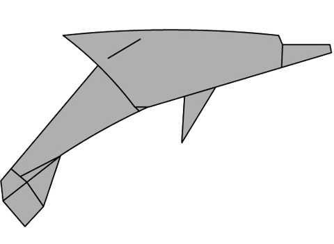 Dolphin