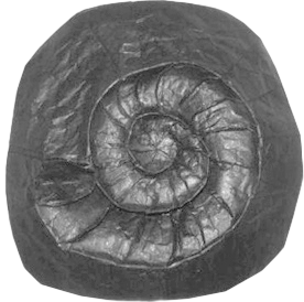 Fossil