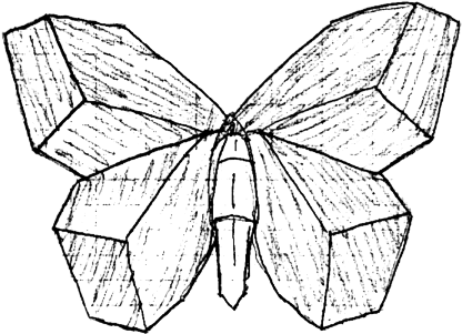 Butterfly - Leaf-wing
