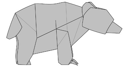 Black bear