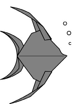 Angelfish