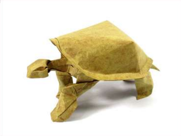 Tortoise