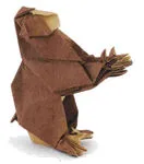 Japanese macacque