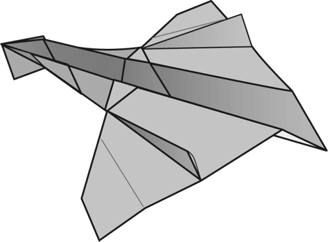 Swan plane