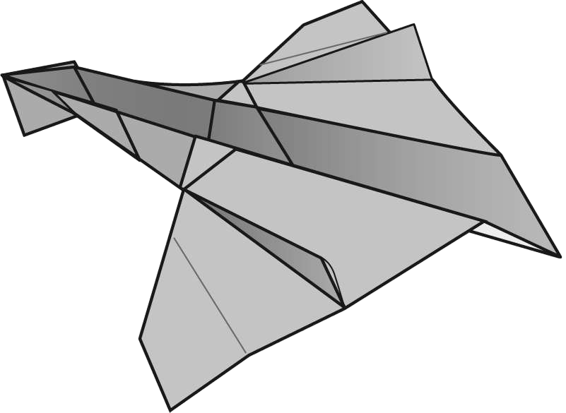 Swan plane