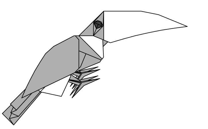 Toucan