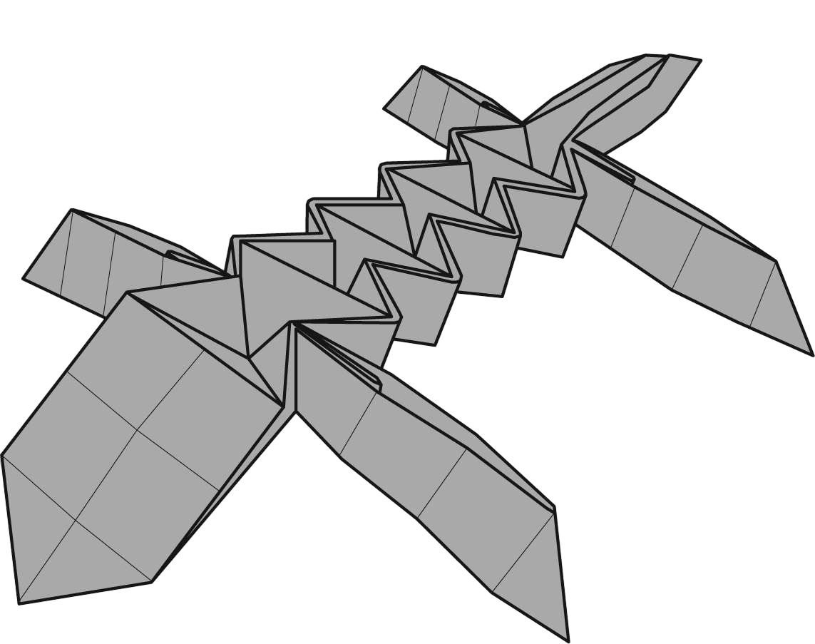 Lizard