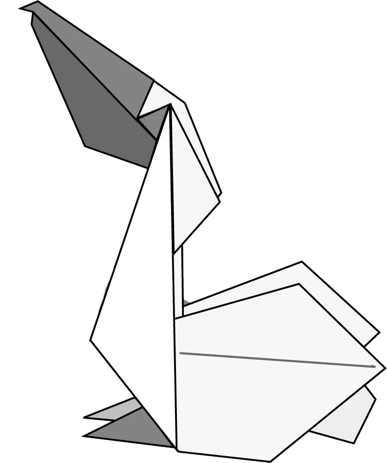 Pelican