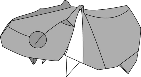 Hippopotamus
