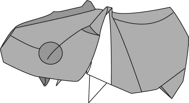 Hippopotamus