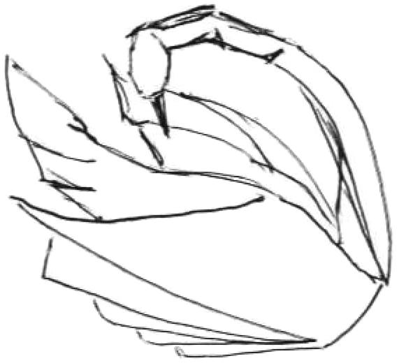 Swan