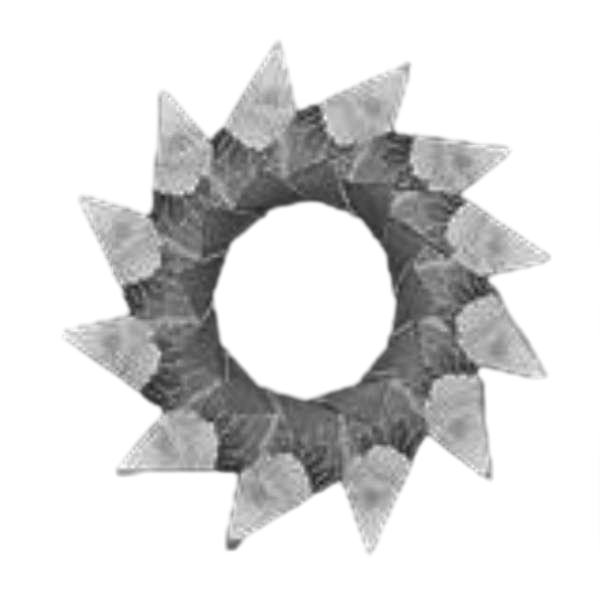 Chakra
