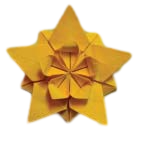 Sakura star